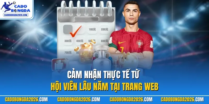Cảm nhận thực tế từ hội viên lâu năm tại trang web